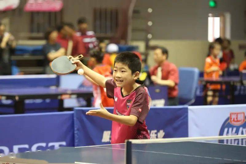 稳定的替代 稳定的替代